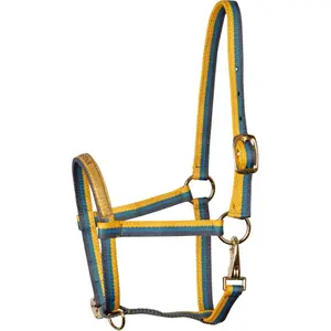 Halter for horse Harry's Horse Azores image-0