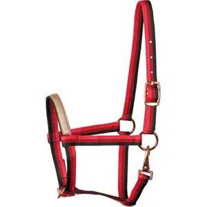 Halter for horse Harry's Horse Azores image-0