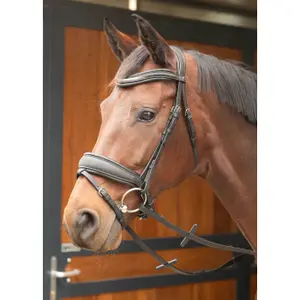 Μακριά ιπποφόρος για άλογο Harry's Horse Rosegold image-2