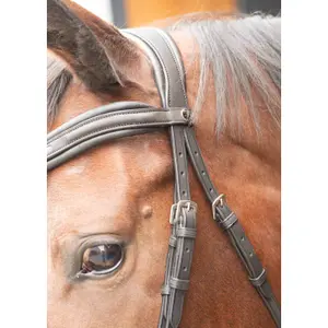Μακριά ιπποφόρος για άλογο Harry's Horse Rosegold image-3