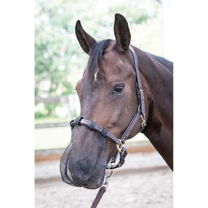 Nasal protection for horses Harry's Horse (x5) image-1