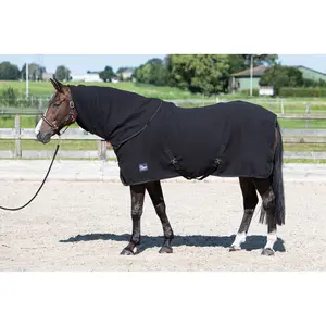 Trocknende Fleecedecke für Pferde Rollkragen Harry's Horse image-1