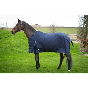Hästtäcke för utomhusbruk Harry's Horse Highliner Comfort Boa image-0