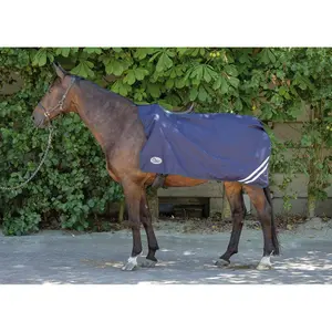 Coprireni per cavalli Harry's Horse 0g image-1