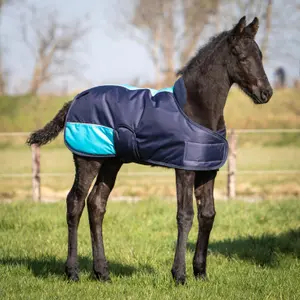 Κάλυμμα για πουλάρι Harry's Horse TwoTone 200 gr image-0