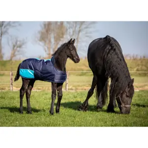 Κάλυμμα για πουλάρι Harry's Horse TwoTone 200 gr image-2