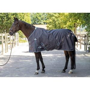 product/h/a/harry-s-horse_32200615_2_2.jpg