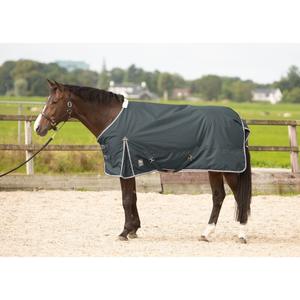 32200691-ebony-outdoor-horse-blanket-harry-s-horse-thor-100-gr-ebony