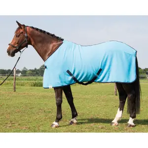 Camisa de cavalo Harry's Horse Colours image-1