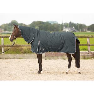 product/h/a/harry-s-horse_32204714-42_ebony_1.jpg