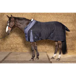Stalldecke Harry's Horse Highliner 300 g image-0
