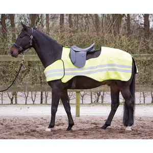 Ανακλαστική κουβέρτα για άλογο Harry's Horse image-0
