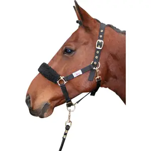 Τσαντάκι για μύτη από συνθετικό υλικό Harry's Horse image-1