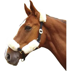 Καλύμμα μουσελόλας μερίνου Harry's Horse image-1