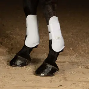 Προστατευτικά τενόντων για άλογα Harry's Horse Next image-1