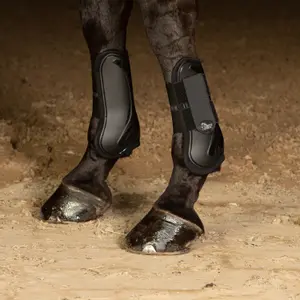 Προστατευτικά τενόντων για άλογα Harry's Horse Next image-1