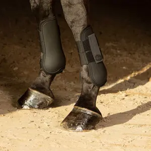 Sehnenschoner für Pferde basic Harry's Horse image-1