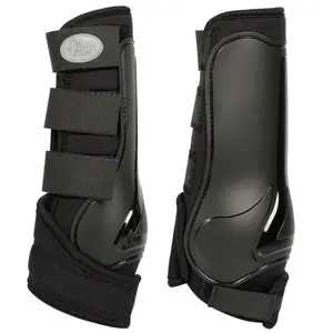 Knee protector for horses Harry's Horse Beenbeschermers Gallop