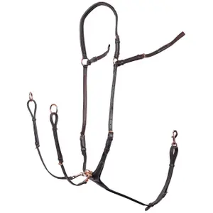 Προστατευτικά πόδια για άλογα Harry's Horse Protech image-0