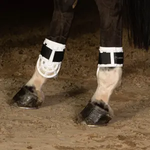 Fesselbeskyttere til heste Harry's Horse Protech image-1