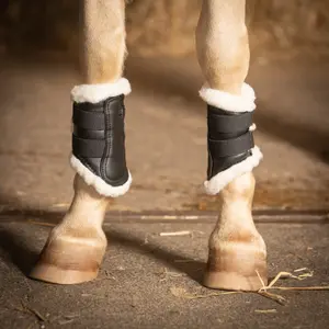 Προστατευτικά πόδια για άλογα Harry's Horse Flextrainer Tiny image-1