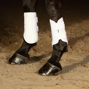Επένδυση για άλογο Harry's Horse Beenbeschermers Flextrainer Air mesh image-1