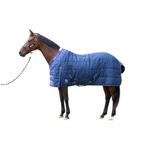 Peitsche Harry's Horse Feldberg WI24 image-0