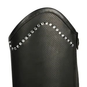 Mini-chaps Harry's Horse Asteroid image-3