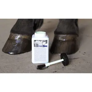 Λάδι για νύχια αλόγου με πινέλο Harry's Horse image-1