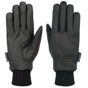 Γάντια Ιππασίας Harry's Horse TopGrip Winter image-0