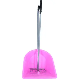 Shovel and rake Harry's Horse