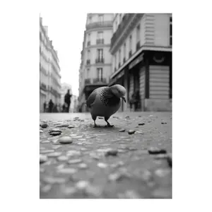 Poster Hartman Old Paris 06 image-0