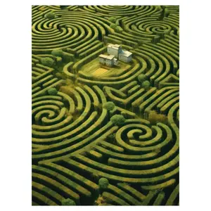 Poster Hartman Pattern Discovery 06 image-0