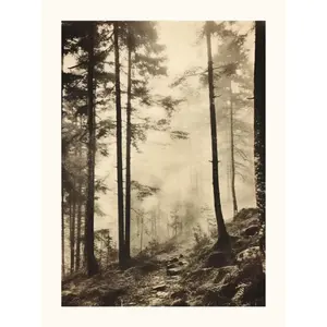 Poster Hartman Old Postcard 04 image-0