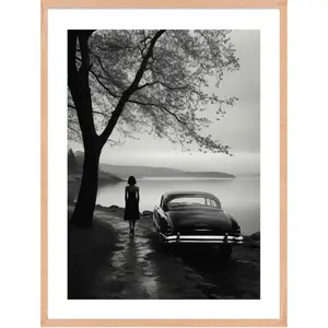 Cadre photo Hartman Wheels of Elegance 08 AI image-0