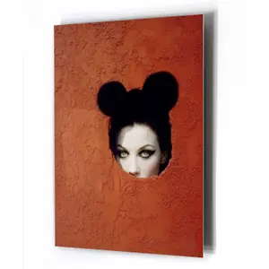 Acrylic Glass Panel Hartman Silent Observer by Dafne Ederveen AI