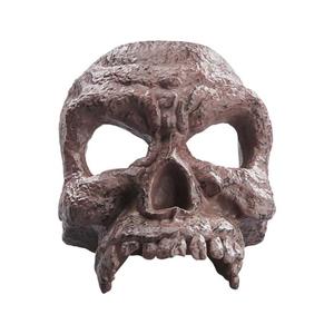 product/h/a/hasbro_hasf6069_blanc_8.jpg