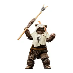 Figurine Hasbro Star Wars Episode VI 40th Anniversary Black Series Paploo image-3