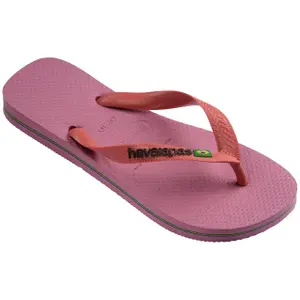 Logo-Flip-Flops Havaianas Brasil image-1
