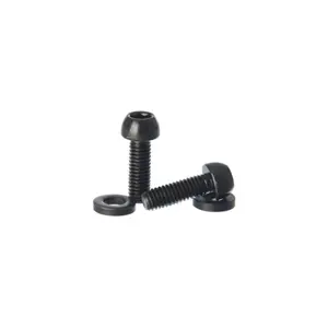 Pair of 2 caliper mounting screws + washer Hayes