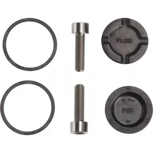 Caliper repair kit Hayes Prime Pro (vis titane) image-0