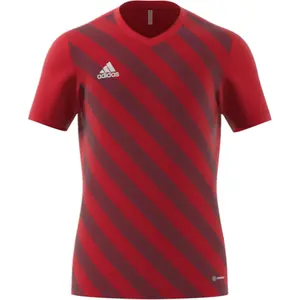 Jersey adidas Entrada 22 Graphic image-1