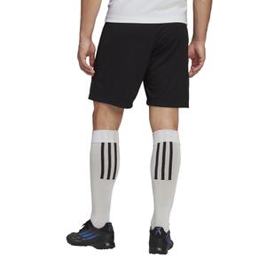 Training shorts adidas Entrada 22 image-5