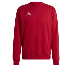 Sudadera adidas Entrada 22 image-0