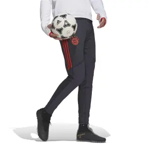 Långbyxor Bayern Munich Pro 2022/23 image-2