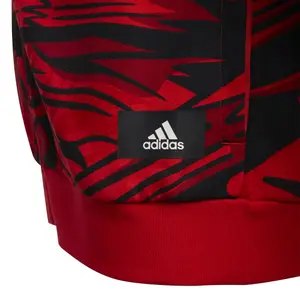 Kinderjacke adidas ARKD3 Relaxed Graphic Full-Zip image-2