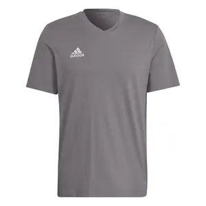 Camiseta adidas Entrada 22 image-0