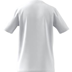 Camiseta adidas Entrada 22 image-4