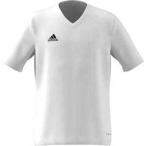 Camiseta para niños adidas Entrada 22 image-1