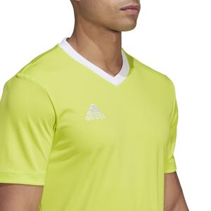Maglia adidas Entrada 22 image-6